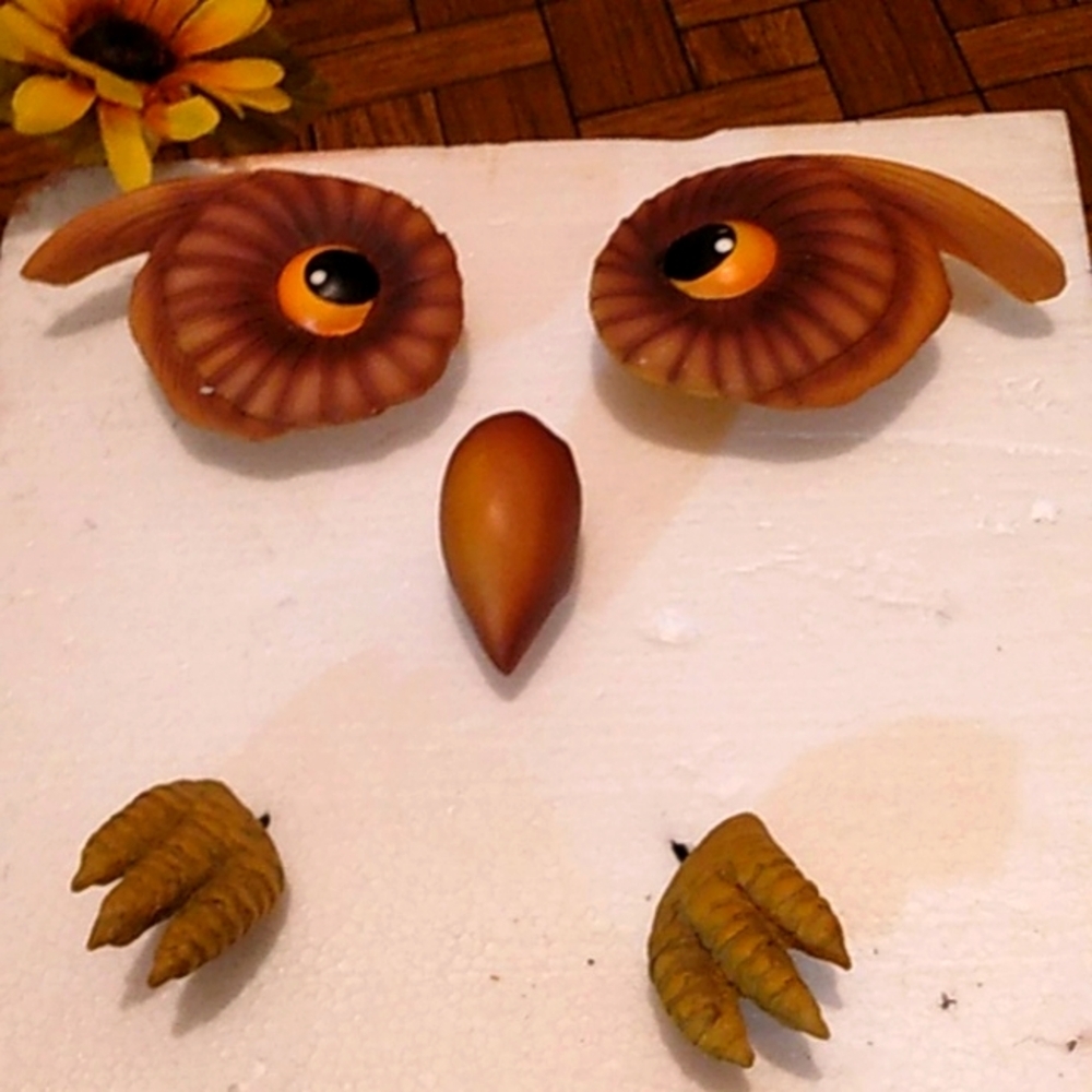 Pumpkin Face by  Evergreen Garden 5pc